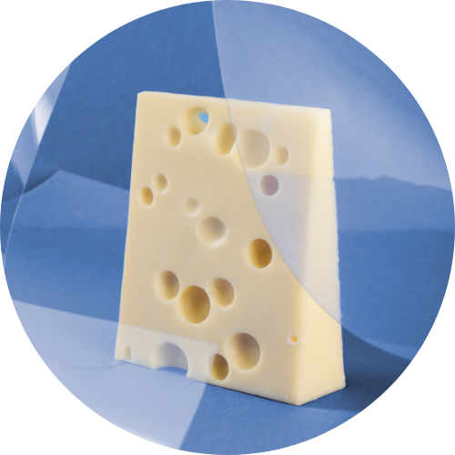 adapa industry cheese and dairy