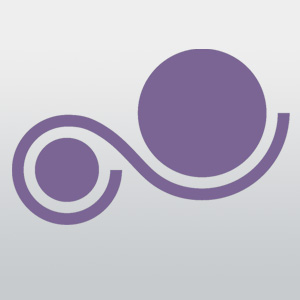 adapa Logo